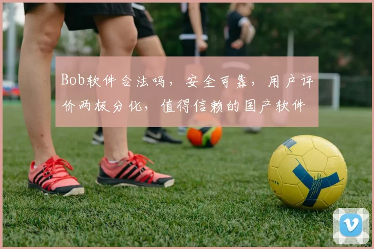 Bob软件合法吗，安全可靠，用户评价两极分化，值得信赖的国产软件